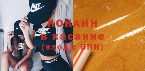 индика Арсеньев