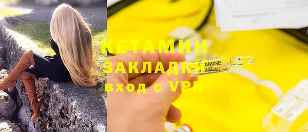 индика Арсеньев
