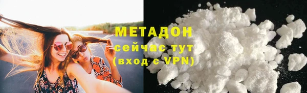 индика Аркадак