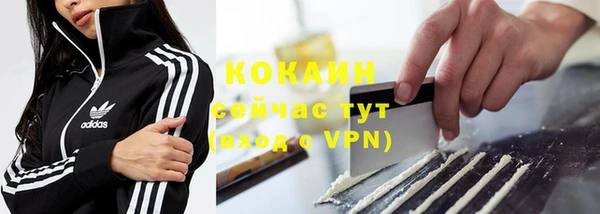 индика Аркадак