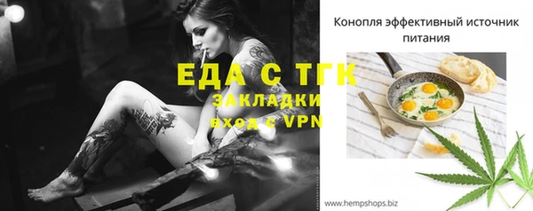 индика Аркадак