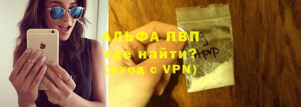 индика Арсеньев