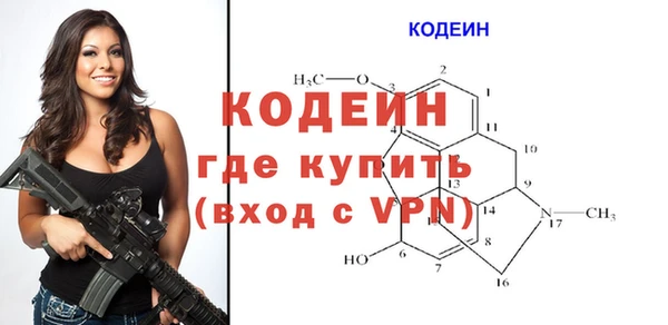индика Арсеньев