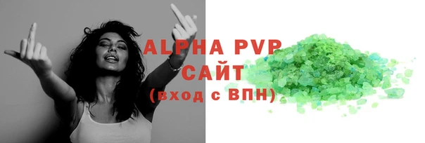 индика Арсеньев