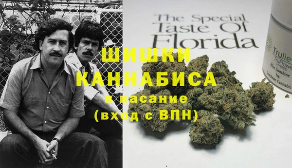 индика Аркадак