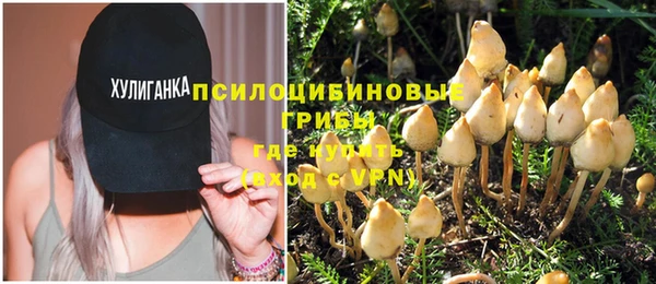 индика Аркадак