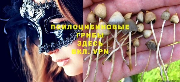 индика Аркадак