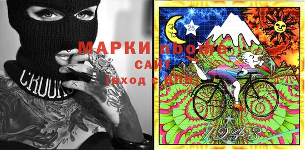 индика Арсеньев