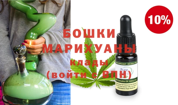 индика Арсеньев