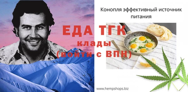 индика Арсеньев