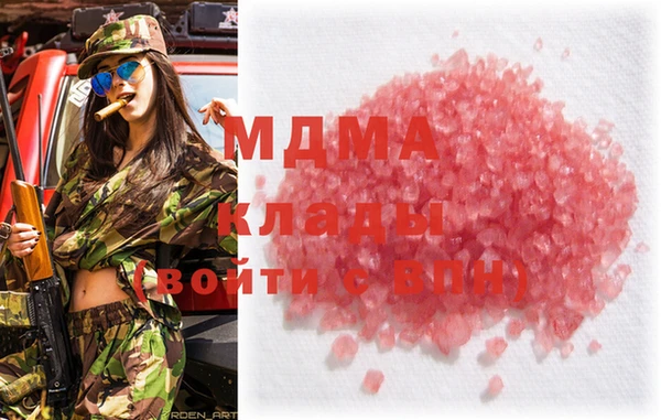 индика Арсеньев