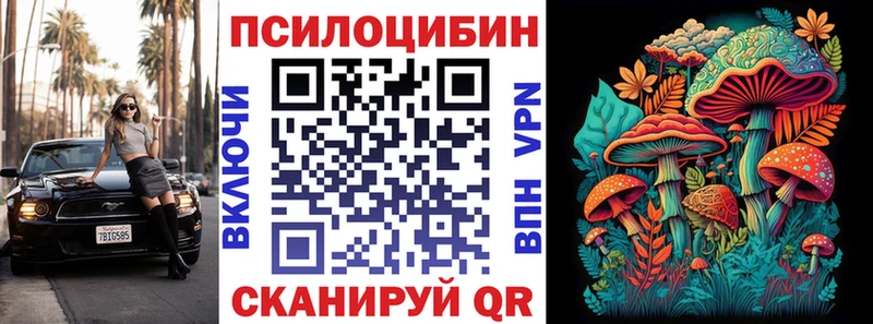 где найти наркотики  Осташков  Псилоцибиновые грибы GOLDEN TEACHER 